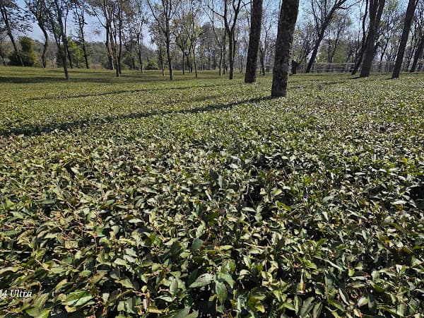 Photo by Rahul Ranjan